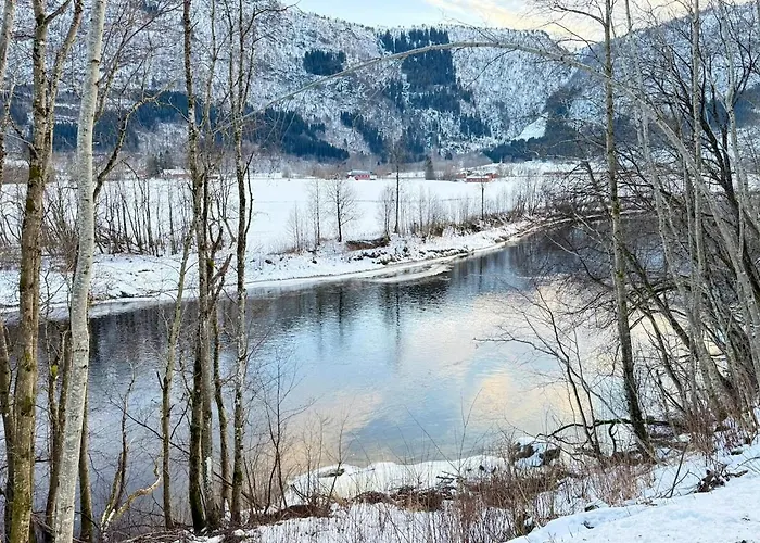 Pellan Holiday home Surnadal